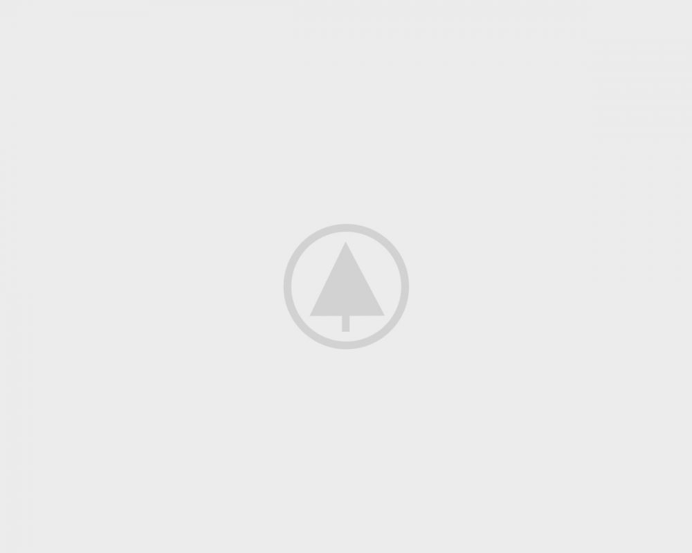 wood-gallery-placeholder wood-gallery-placeholder