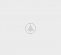 wood-gallery-placeholder-5 wood-gallery-placeholder-5