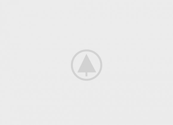 wood-portfolio-placeholder wood-portfolio-placeholder