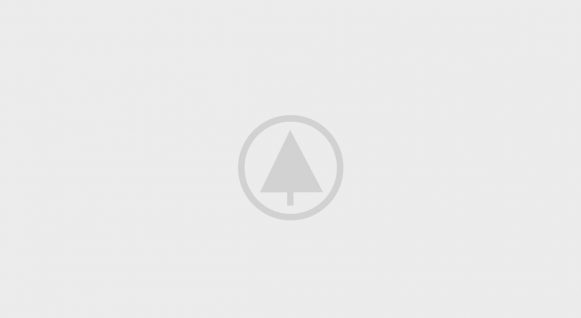 wood-portfolio-placeholder wood-portfolio-placeholder